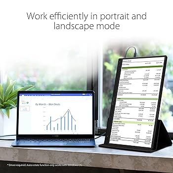 Amazon.com: ASUS ZenScreen MB166C Portable USB Monitor- 15.6